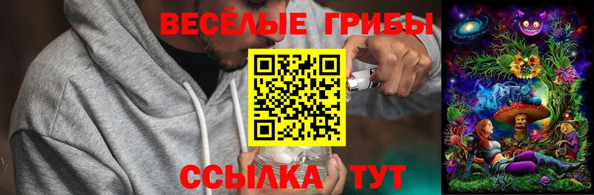 Псилоцибиновые грибы мухоморы  Галлюциногенные грибы Psilocybine cubensis  Кемерово  Вход с VPN 